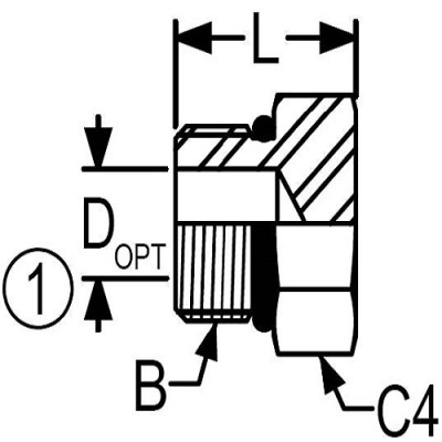 drawing image