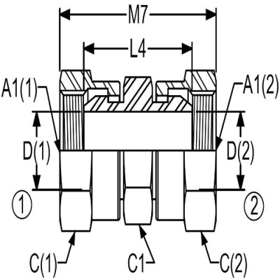 drawing image